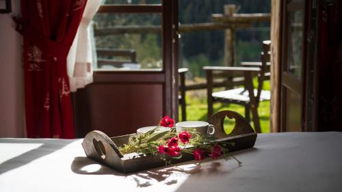 Cogne House | Agriturismo Plan de la Tour B&B