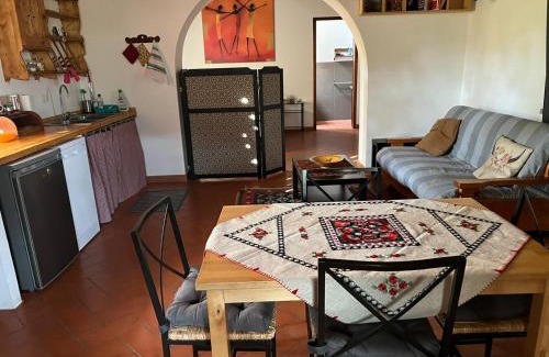 Greve in Chianti Apartment | Agriturismo Podere le Fornaci