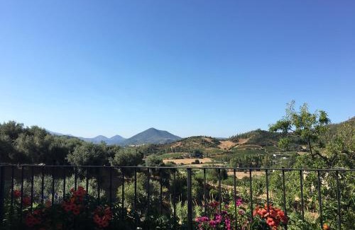 Cannonau di Sardegna Wine Area House | Agriturismo S'Orgiola