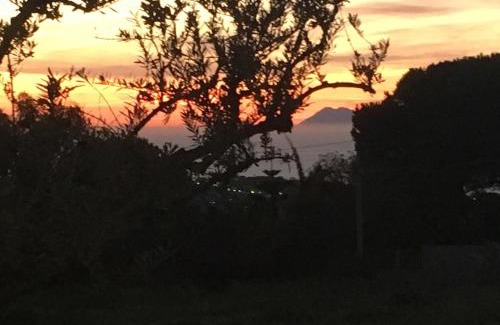 Ricadi House | Agriturismo Seaview