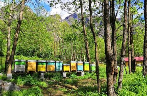 Novate Mezzola House | Agriturismo Val Codera