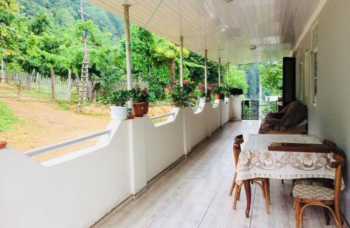 Khelvachauri House | Agro Guest House Tsiskari in Machakhela