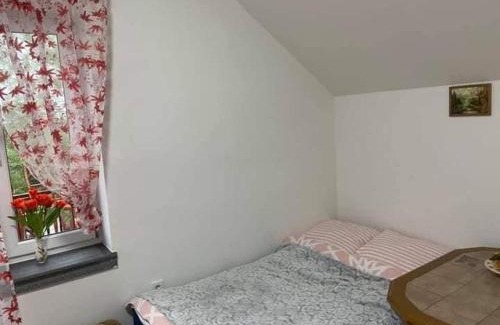 Darlowo House | Agroturystyka Barzowice