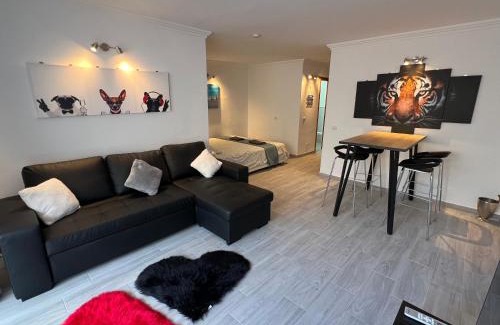 San Miguel de Abona Apartment | Air conditioning, private parking and fully equipped Kitchen in hotel room in Golf del Sur, Tenerife