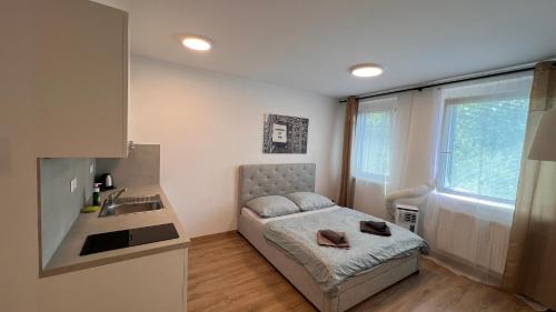 Nivy Apartment | Air conditioned 1 room apartment with parking, new building, Ružinov