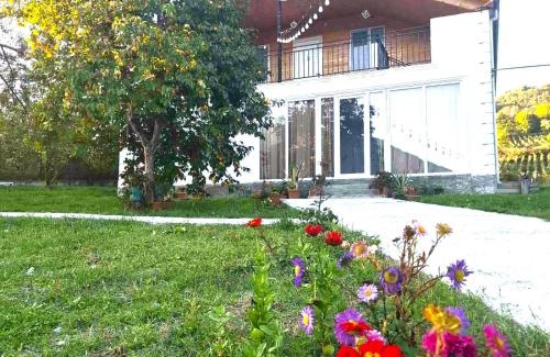 Ambrolauri House | Akidoni