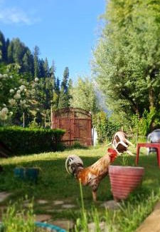 Laripora House | Al-Ayaan Guest House