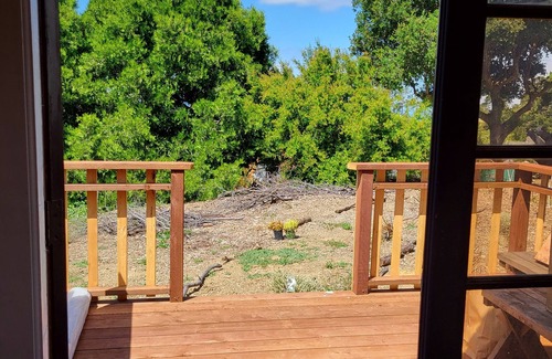 Castro Valley House | Alameda County Country Tiny Home w/Ocean and Mountain Views!