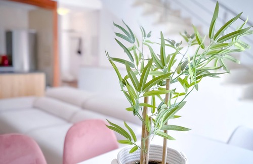 Almodovar del Rio Apartment | Alojamientos Claus
