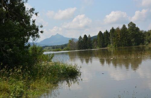 Wertach Apartment | Alpenblick
