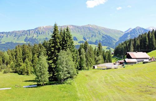 Mittelberg Hotel | Alpengasthof Hörnlepass