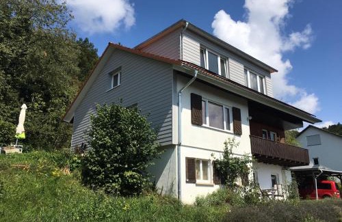 Gailingen House | Alpenpanorama am Hochrhein