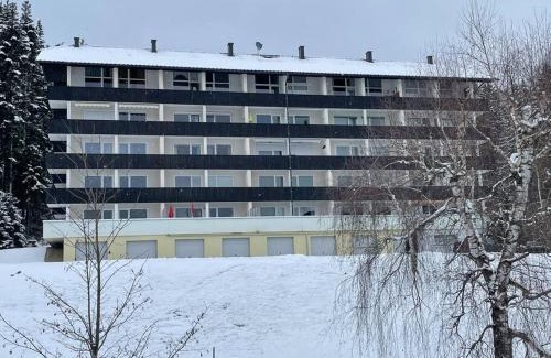 Bad Mitterndorf Apartment | Alpenurlaub II Wohnung mit Traumausblick