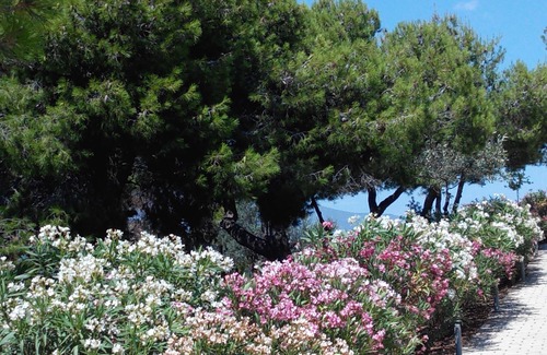 Kilada Apartment | AlphaVilla – Relax in this quiet location with beautiful sea views. Welcome!