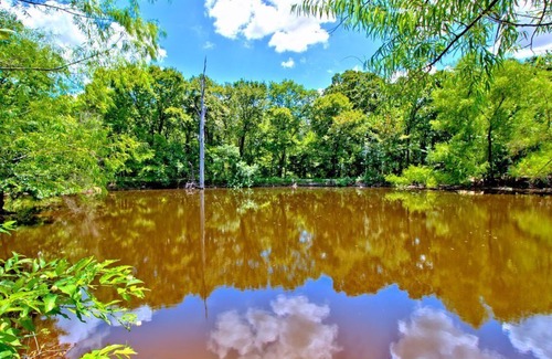 Wills Point Cabin | Amazing Cabin- 4th nt. FREE this Summer!