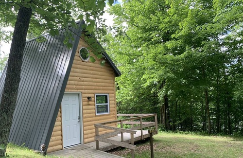 Walker Cabin | Amazing Glamping Cabin in the woods!
