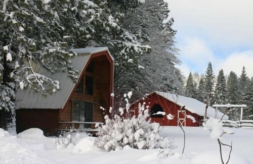 Mount Shasta House | Amazing property & Shasta views, private lake, dark skies, close to everything