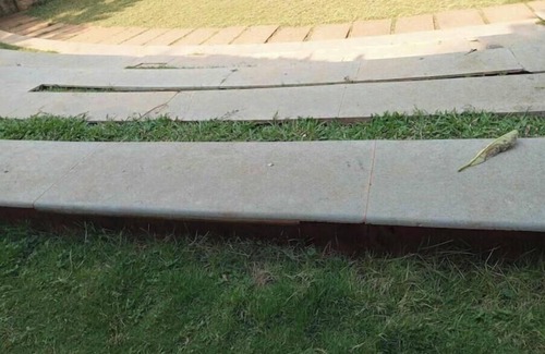 Bengaluru Apartment | An Apartment for Special Guests