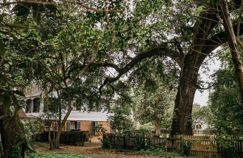 Lafayette House | An Authentic Cajun Experience right in the heart of Lafayette