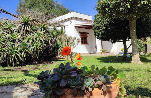 San Ambrosio House | Andalucía; Cádiz; Vejer de la Frontera; Finca la Hijuela, Casa Tepuana