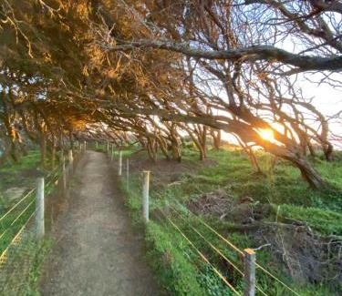 Anglesea House | Anglesea Rivergums