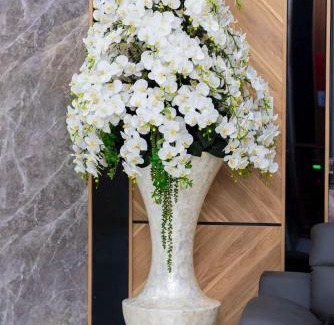 Bac Tra My Hotel | AnhTuan Hotel