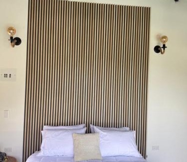 Ibague Other | Animadbali