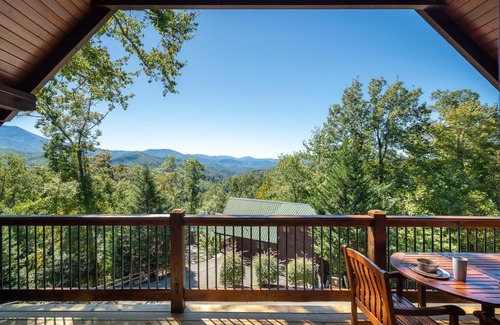 Black Bear Falls House | Another Day in Bearadise home