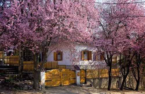 Tokaj Apartment | Antalóczy Vendégház