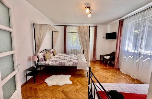 Sighisoara House | Anton Pann House - Entire house below the citadel