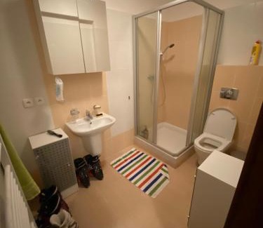 Ruzomberok Apartment | Aparmán Renata 9