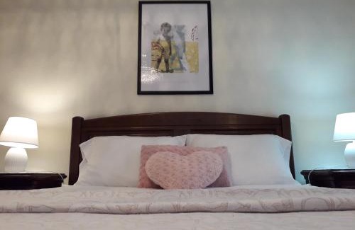 Ponte de Lima Apartment | Apart. Av. António Feijó