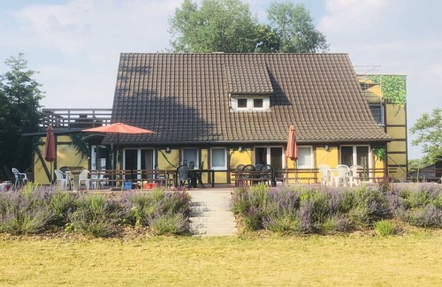 Feldberger Seenlandschaft Apartment | Apartment 6 - Waldmaries vacation home