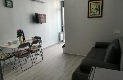 New Boulevard Apartment | Apartament in Real Pealce in Batumi,pirosmani street 18d flat 61 floor 9