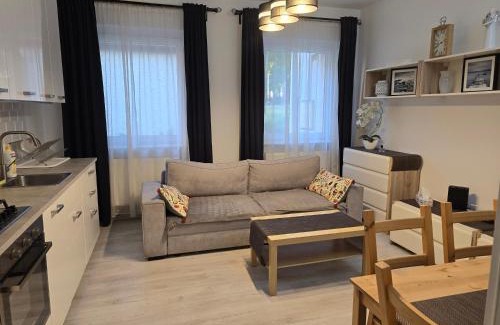 Pruszcz Gdanski Apartment | Apartament Mickiewicza