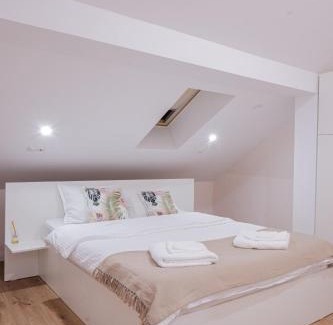 Satu Mare Apartment | Apartament Neva 2