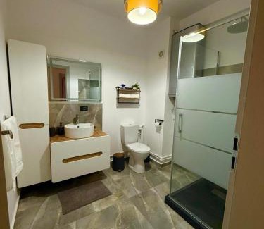 Cordau Apartment | Apartament Palace Baile Felix