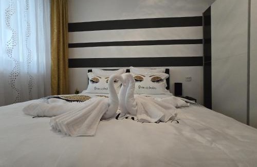 Baile Herculane Apartment | Apartament Sofy2