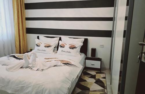 Baile Herculane Apartment | Apartament Sofy2