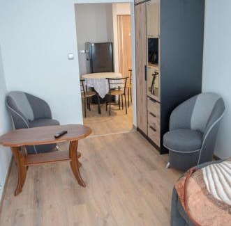 Sanok Apartment | Apartament u Krysi