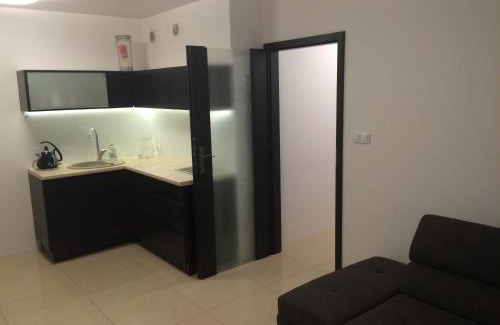 Torun Apartment | Apartament w Toruniu