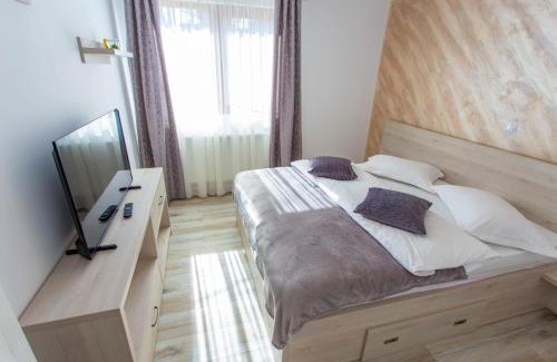 Busteni Apartment | Apartamente Primaverii