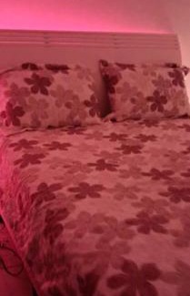 Kobrasol House | Apartamento bem localizado! Kobrasol