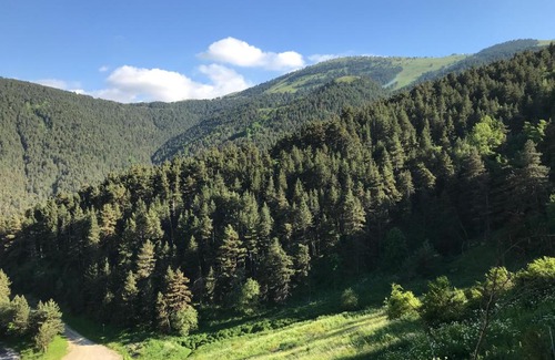La Molina Apartment | Apartamento Puigmal