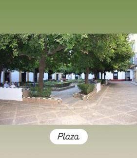 Santa Cruz Apartment | Apartamentos en la Plaza Doña Elvira, 7