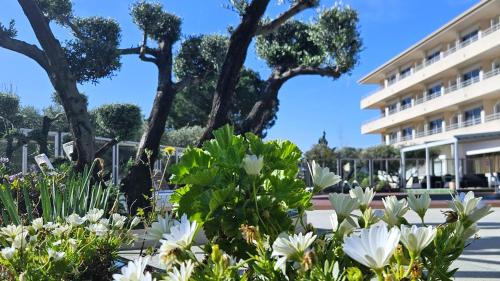 L'Estartit Apartment | Apartamentos La Masia