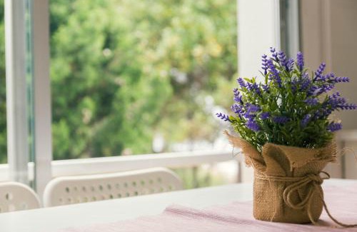 Llanca Apartment | Apartaments Falcó