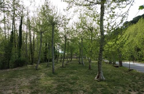 Gualba Apartment | Apartaments Rural Montseny