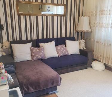 Oradea Apartment | Apartamentul Iulia Oradea