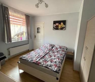 Kudowa Zdroj House | Apartamenty Pod Lwami